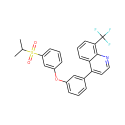 CC(C)S(=O)(=O)c1cccc(Oc2cccc(-c3ccnc4c(C(F)(F)F)cccc34)c2)c1 ZINC000045350069