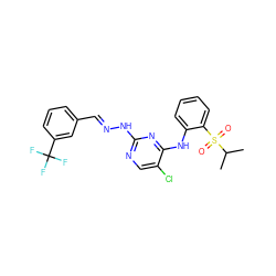 CC(C)S(=O)(=O)c1ccccc1Nc1nc(N/N=C/c2cccc(C(F)(F)F)c2)ncc1Cl ZINC001772653214