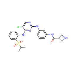 CC(C)S(=O)(=O)c1ccccc1Nc1nc(Nc2cccc(NC(=O)C3CNC3)c2)ncc1Cl ZINC000299831922