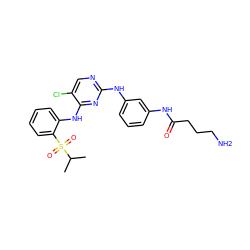 CC(C)S(=O)(=O)c1ccccc1Nc1nc(Nc2cccc(NC(=O)CCCN)c2)ncc1Cl ZINC000299819608