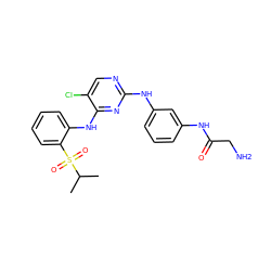 CC(C)S(=O)(=O)c1ccccc1Nc1nc(Nc2cccc(NC(=O)CN)c2)ncc1Cl ZINC000214533665