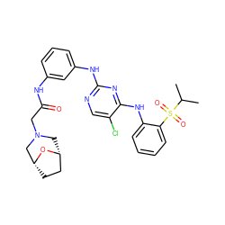 CC(C)S(=O)(=O)c1ccccc1Nc1nc(Nc2cccc(NC(=O)CN3C[C@@H]4CC[C@H](C3)O4)c2)ncc1Cl ZINC000299838427