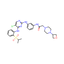 CC(C)S(=O)(=O)c1ccccc1Nc1nc(Nc2cccc(NC(=O)CN3CCN(C4COC4)CC3)c2)ncc1Cl ZINC000299820454