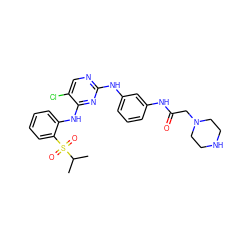 CC(C)S(=O)(=O)c1ccccc1Nc1nc(Nc2cccc(NC(=O)CN3CCNCC3)c2)ncc1Cl ZINC000299840637