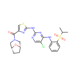 CC(C)S(=O)(=O)c1ccccc1Nc1nc(Nc2nc(C(=O)N3C[C@@H]4CC[C@H](C3)O4)cs2)ncc1Cl ZINC000299828407