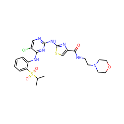 CC(C)S(=O)(=O)c1ccccc1Nc1nc(Nc2nc(C(=O)NCCN3CCOCC3)cs2)ncc1Cl ZINC000299827115