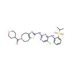 CC(C)S(=O)(=O)c1ccccc1Nc1nc(Nc2nc3c(s2)CCN(C(=O)C2CCOCC2)CC3)ncc1Cl ZINC000299825822