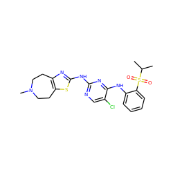 CC(C)S(=O)(=O)c1ccccc1Nc1nc(Nc2nc3c(s2)CCN(C)CC3)ncc1Cl ZINC000299828184