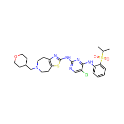 CC(C)S(=O)(=O)c1ccccc1Nc1nc(Nc2nc3c(s2)CCN(CC2CCOCC2)CC3)ncc1Cl ZINC000299823296