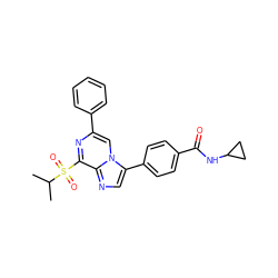 CC(C)S(=O)(=O)c1nc(-c2ccccc2)cn2c(-c3ccc(C(=O)NC4CC4)cc3)cnc12 ZINC000118749300