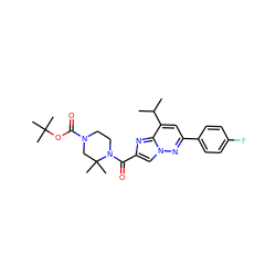 CC(C)c1cc(-c2ccc(F)cc2)nn2cc(C(=O)N3CCN(C(=O)OC(C)(C)C)CC3(C)C)nc12 ZINC000473121168