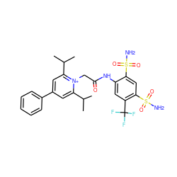 CC(C)c1cc(-c2ccccc2)cc(C(C)C)[n+]1CC(=O)Nc1cc(C(F)(F)F)c(S(N)(=O)=O)cc1S(N)(=O)=O ZINC000026753090