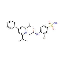 CC(C)c1cc(-c2ccccc2)cc(C(C)C)[n+]1CC(=O)Nc1ccc(S(N)(=O)=O)cc1Br ZINC000026816963