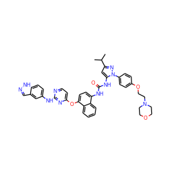 CC(C)c1cc(NC(=O)Nc2ccc(Oc3ccnc(Nc4ccc5[nH]ncc5c4)n3)c3ccccc23)n(-c2ccc(OCCN3CCOCC3)cc2)n1 ZINC000211070028