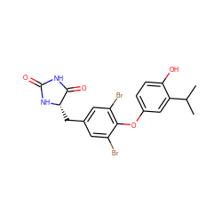 CC(C)c1cc(Oc2c(Br)cc(C[C@@H]3NC(=O)NC3=O)cc2Br)ccc1O ZINC000029123945