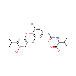 CC(C)c1cc(Oc2c(Br)cc(CC(=O)N[C@@H](C(=O)O)C(C)C)cc2Br)ccc1O ZINC000014969097