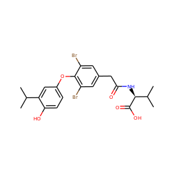 CC(C)c1cc(Oc2c(Br)cc(CC(=O)N[C@H](C(=O)O)C(C)C)cc2Br)ccc1O ZINC000014969093