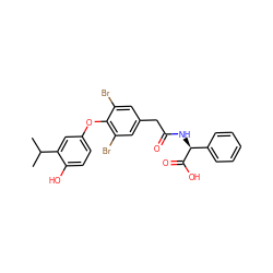 CC(C)c1cc(Oc2c(Br)cc(CC(=O)N[C@H](C(=O)O)c3ccccc3)cc2Br)ccc1O ZINC000014969101