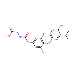 CC(C)c1cc(Oc2c(Br)cc(CC(=O)NCC(=O)O)cc2Br)ccc1O ZINC000014969082