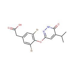 CC(C)c1cc(Oc2c(Br)cc(CC(=O)O)cc2Br)n[nH]c1=O ZINC000034842470