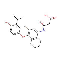 CC(C)c1cc(Oc2c(Br)cc(NC(=O)CC(=O)O)c3c2CCCC3)ccc1O ZINC000084728994