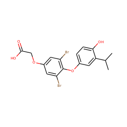 CC(C)c1cc(Oc2c(Br)cc(OCC(=O)O)cc2Br)ccc1O ZINC000013602490