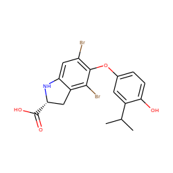 CC(C)c1cc(Oc2c(Br)cc3c(c2Br)C[C@H](C(=O)O)N3)ccc1O ZINC000028973880