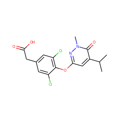 CC(C)c1cc(Oc2c(Cl)cc(CC(=O)O)cc2Cl)nn(C)c1=O ZINC000034842516