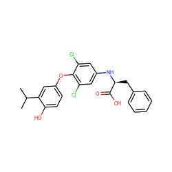 CC(C)c1cc(Oc2c(Cl)cc(N[C@@H](Cc3ccccc3)C(=O)O)cc2Cl)ccc1O ZINC000013602469