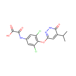 CC(C)c1cc(Oc2c(Cl)cc(NC(=O)C(=O)O)cc2Cl)n[nH]c1=O ZINC000034842510