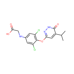 CC(C)c1cc(Oc2c(Cl)cc(NCC(=O)O)cc2Cl)n[nH]c1=O ZINC000034842508