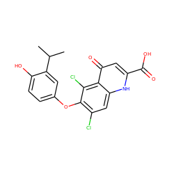 CC(C)c1cc(Oc2c(Cl)cc3[nH]c(C(=O)O)cc(=O)c3c2Cl)ccc1O ZINC000028572104