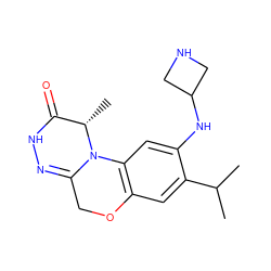 CC(C)c1cc2c(cc1NC1CNC1)N1C(=NNC(=O)[C@@H]1C)CO2 ZINC000145611243