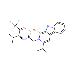 CC(C)c1cc2c3ccccc3nc-2c(O)n1CC(=O)N[C@H](C(=O)C(F)(F)F)C(C)C ZINC000100729438