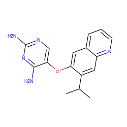 CC(C)c1cc2ncccc2cc1Oc1cnc(N)nc1N ZINC000034809219