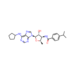 CC(C)c1ccc(C(=O)N[C@H]2[C@@H](C)O[C@@H](n3cnc4c(NC5CCCC5)ncnc43)[C@@H]2O)cc1 ZINC000013473183