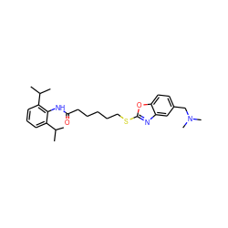 CC(C)c1cccc(C(C)C)c1NC(=O)CCCCCSc1nc2cc(CN(C)C)ccc2o1 ZINC000203931232