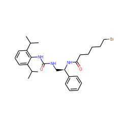 CC(C)c1cccc(C(C)C)c1NC(=O)NC[C@@H](NC(=O)CCCCCBr)c1ccccc1 ZINC000013737158