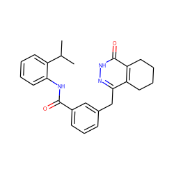 CC(C)c1ccccc1NC(=O)c1cccc(Cc2n[nH]c(=O)c3c2CCCC3)c1 ZINC000167725842