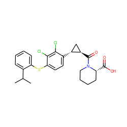 CC(C)c1ccccc1Sc1ccc([C@@H]2C[C@H]2C(=O)N2CCCC[C@H]2C(=O)O)c(Cl)c1Cl ZINC000003965938