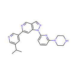 CC(C)c1cncc(-c2cc3c(cn2)cnn3-c2cccc(N3CCNCC3)n2)c1 ZINC000224872285