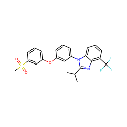 CC(C)c1nc2c(C(F)(F)F)cccc2n1-c1cccc(Oc2cccc(S(C)(=O)=O)c2)c1 ZINC000045389151