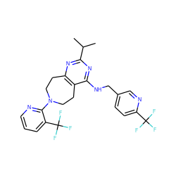 CC(C)c1nc2c(c(NCc3ccc(C(F)(F)F)nc3)n1)CCN(c1ncccc1C(F)(F)F)CC2 ZINC000165998854