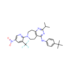 CC(C)c1nc2c(c(Nc3ccc(C(C)(C)C)cc3)n1)CCN(c1ncc([N+](=O)[O-])cc1C(F)(F)F)CC2 ZINC000137700705