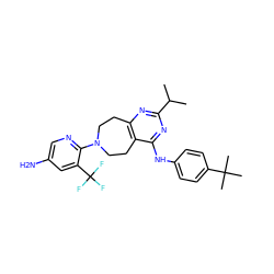 CC(C)c1nc2c(c(Nc3ccc(C(C)(C)C)cc3)n1)CCN(c1ncc(N)cc1C(F)(F)F)CC2 ZINC000144900801