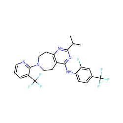 CC(C)c1nc2c(c(Nc3ccc(C(F)(F)F)cc3F)n1)CCN(c1ncccc1C(F)(F)F)CC2 ZINC000145131641