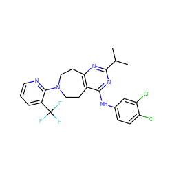 CC(C)c1nc2c(c(Nc3ccc(Cl)c(Cl)c3)n1)CCN(c1ncccc1C(F)(F)F)CC2 ZINC000148245843