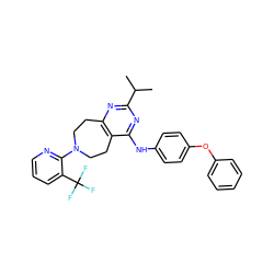 CC(C)c1nc2c(c(Nc3ccc(Oc4ccccc4)cc3)n1)CCN(c1ncccc1C(F)(F)F)CC2 ZINC000168349743