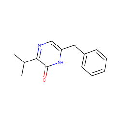 CC(C)c1ncc(Cc2ccccc2)[nH]c1=O ZINC000000018551