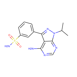 CC(C)n1nc(-c2cccc(S(N)(=O)=O)c2)c2c(N)ncnc21 ZINC000064504166